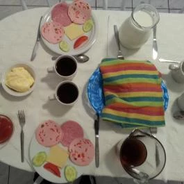 Jázmin Panzió, Gyula - Vendéglátás