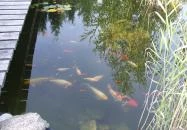 Abbázia Vendégház Eger