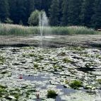 Belenus Thermalhotel Superior Zalakaros - Környék