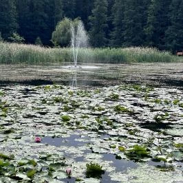 Belenus Thermalhotel Superior Zalakaros - Környék