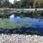 Belenus Thermalhotel Superior Zalakaros - Környék