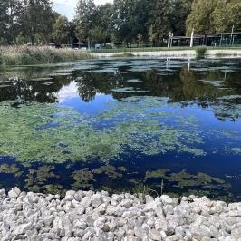 Belenus Thermalhotel Superior Zalakaros - Környék