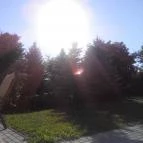 Atkári Pince Panzió Bóly - Egyéb