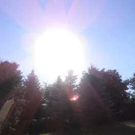 Atkári Pince Panzió, Bóly - Egyéb