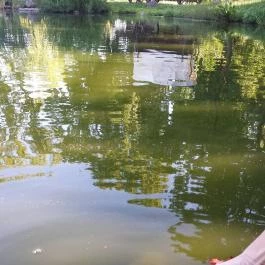 Hotel Vécsecity, Hernádvécse - Medence/kert