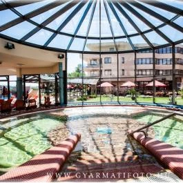 Flamingó Wellness & Konferencia Hotel Balatonfüred - Wellness