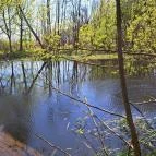 Kis-Balaton Látogatóközpont Keszthely - Egyéb