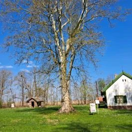 Fekete István Emlékház Keszthely - Egyéb