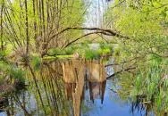 Kis-Balaton Látogatóközpont Keszthely