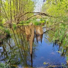 Kis-Balaton Látogatóközpont Keszthely - Egyéb