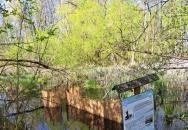 Kis-Balaton Látogatóközpont Keszthely