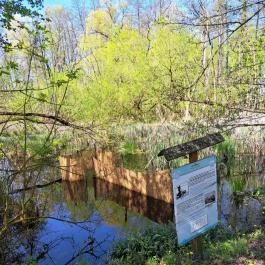 Kis-Balaton Látogatóközpont, Keszthely - Egyéb