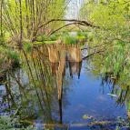 Kis-Balaton Látogatóközpont Keszthely - Egyéb