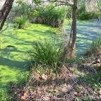 Kis-Balaton Látogatóközpont Keszthely - Egyéb