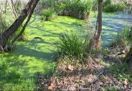 Kis-Balaton Látogatóközpont Keszthely