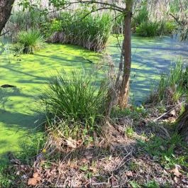 Kis-Balaton Látogatóközpont, Keszthely - Egyéb