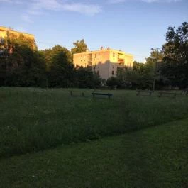 Termálhotel Martfű, Martf? - Környék