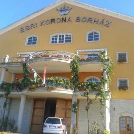 Egri Korona Borház & Wellness Hotel Demjén - Külső kép