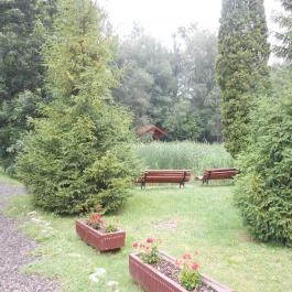 Sebesvíz Panzió, Miskolc - Medence/kert