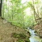 Sebesvíz Panzió Miskolc - Környék