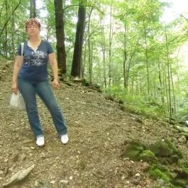 Sebesvíz Panzió, Miskolc - Környék