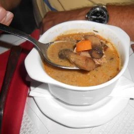 Sebesvíz Panzió, Miskolc - Vendéglátás