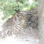 Sebesvíz Panzió Miskolc - Környék