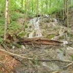 Sebesvíz Panzió Miskolc - Környék