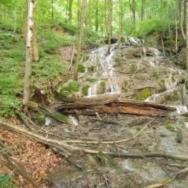 Sebesvíz Panzió, Miskolc - Környék