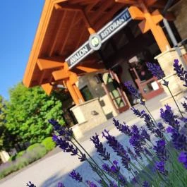 Avalon Resort & Spa Miskolctapolca - Egyéb