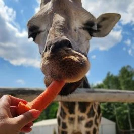 Richter Safari Park, Nagykőrös - Egyéb