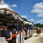 Richter Safari Park Nagykőrös - Egyéb