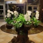 Thermal Hotel Visegrád Visegrád - Egyéb