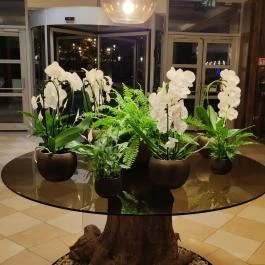 Thermal Hotel Visegrád Visegrád - Egyéb