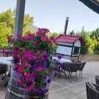 Thermal Hotel Visegrád Visegrád - Egyéb