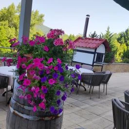 Thermal Hotel Visegrád Visegrád - Egyéb