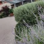 Thermal Hotel Visegrád Visegrád - Egyéb