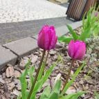 Avalon Resort & Spa Miskolctapolca - Külső kép