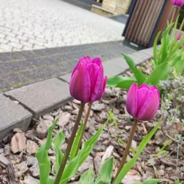 Avalon Resort & Spa Miskolctapolca - Külső kép