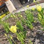 Avalon Resort & Spa Miskolctapolca - Külső kép