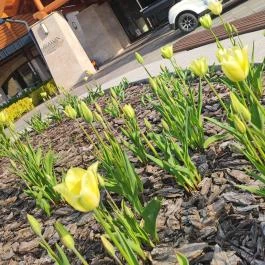 Avalon Resort & Spa Miskolctapolca - Külső kép