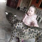 Hotel Vécsecity Hernádvécse - Egyéb