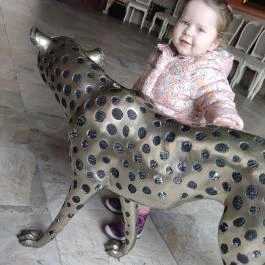 Hotel Vécsecity, Hernádvécse - Egyéb