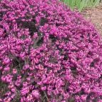 Hotel Vécsecity Hernádvécse - Egyéb