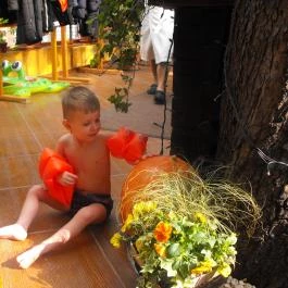 Puchner Kastélyszálló Bikal - Egyéb