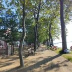 BF Hotel Balatonföldvár - Környék