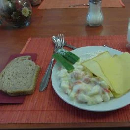 Hotel Forrás Zalakaros, Zalakaros - Vendéglátás