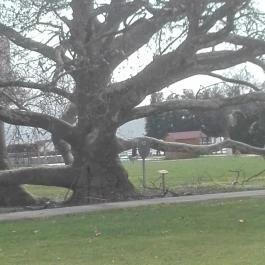 Hunguest Hotel Flóra Eger - Környék