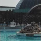 Hunguest Hotel Flóra Eger - Medence/kert