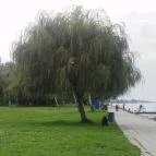 Hotel Magistern Konferencia & Wellness Siófok - Környék